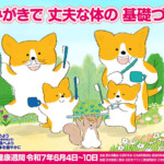 歯と口の健康習慣🦷